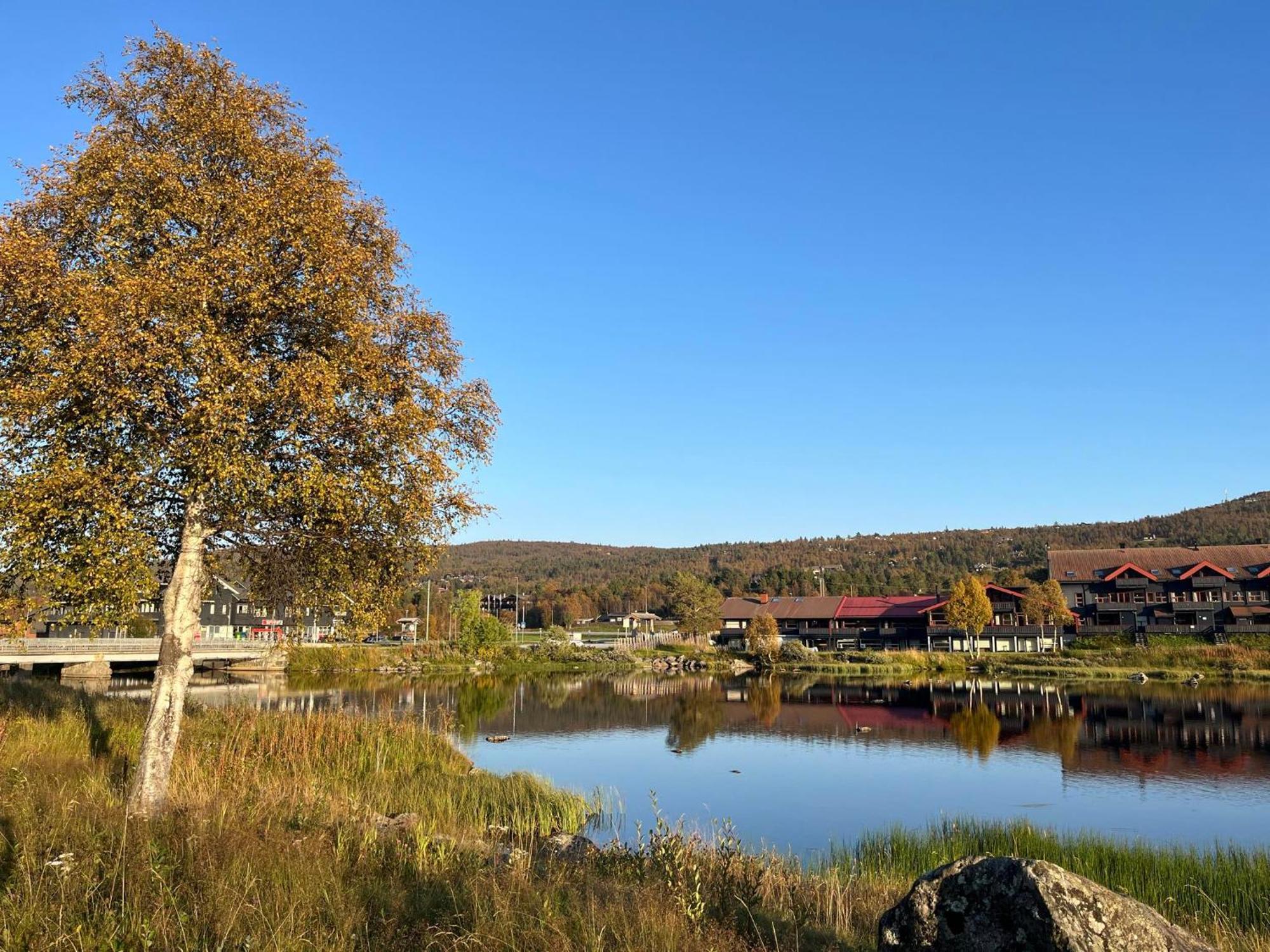 Sentral Leilighet Pa Geilo Buitenkant foto
