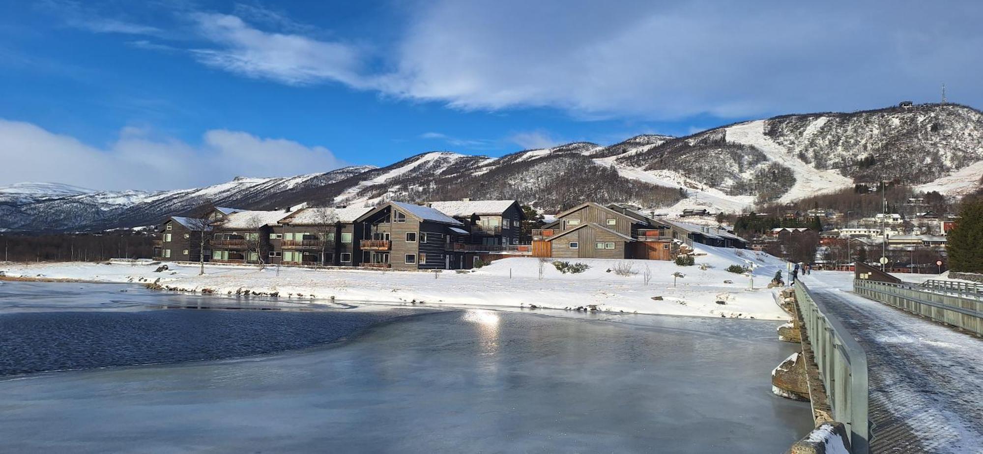 Sentral Leilighet Pa Geilo Buitenkant foto